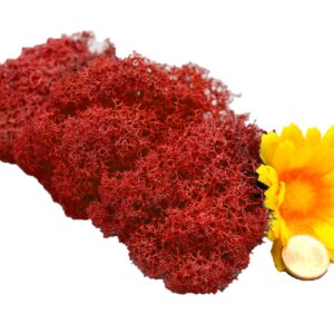 Muwse Islandmoos Mohnrot 10 g Basteln Wandbilder Dekoration Gestalten