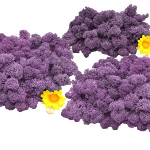 Muwse Islandmoos Blau 250 g Basteln Wandbilder Dekoration Gestalten