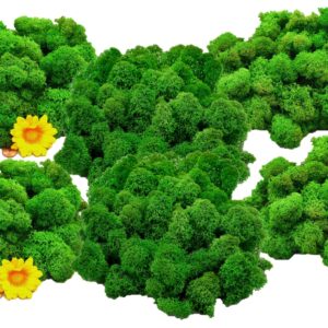 Muwse Islandmoos Grasgrün 500 g Basteln Wandbilder Dekoration Gestalten