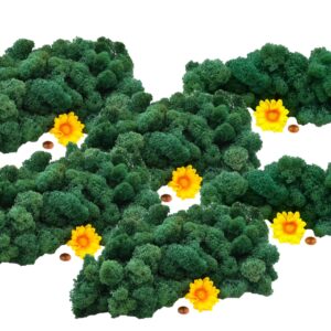 Muwse Islandmoos Kieferngrün 500 g Basteln Wandbilder Dekoration Gestalten