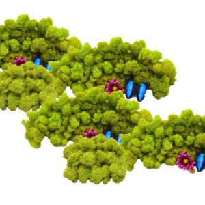 Muwse Islandmoos Frühlingsgrün 500 g Basteln Wandbilder Dekoration Gestalten