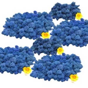 Muwse Islandmoos Blau 500 g Basteln Wandbilder Dekoration Gestalten
