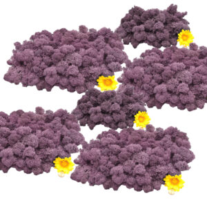 Muwse Islandmoos Flieder 500 g Basteln Wandbilder Dekoration Gestalten