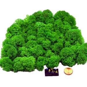 Muwse Islandmoos Grasgrün 25 g Maßstab Spur Z Modellbau