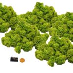 Muwse Islandmoos Frühlingsgrün 25 g Maßstab Spur Z Modellbau