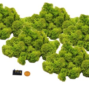 Muwse Islandmoos Frühlingsgrün 25 g Maßstab Spur Z Modellbau