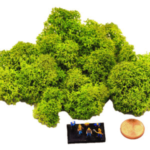 Muwse Islandmoos Frühlingsgrün 5 g Maßstab Spur Z Modellbau