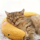 A18f46f7ca4e346698874ebc475b39f0aC.webp
