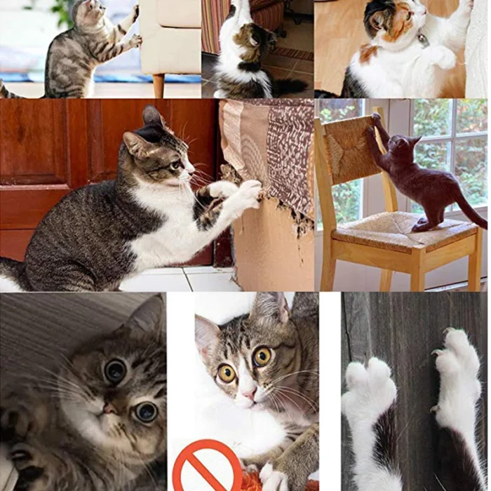 H39c56837945c4d4eb7faffbbafaffe48a.webp