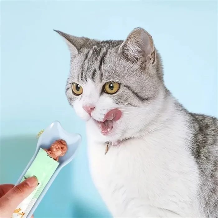 S02f3b05faec64d08abcda8e4d0990008s-1.webp