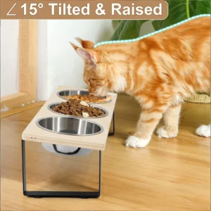 Elevated Cat Bowls Feeder 15° Tilted Raised Feeding & Watering Supplies Pet 3 Stainless Steel Bowls with Stand for Cats Puppies