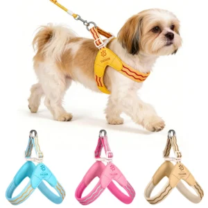 Spring Summer Cat Puppy Harness Wear Simple Mesh Breathable Outdoor Pet Dog Walking Supplies Chihuahua Corgi Saddle Chest Straps