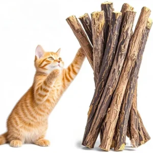 Kitten Supplies Natural Herbal Cat Chews Natural Grass Chew Sticks for Cats Chat Accessories Cat Oral Cleaning Stick Catnip Toys
