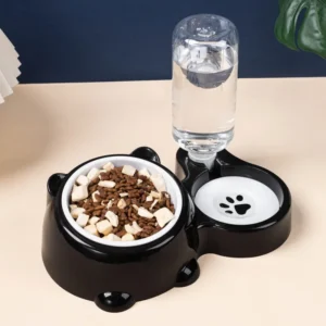 Pet Bowl 2-in-1 Auto Water Feeder, Tilted Elevated Cat Dog Bowl for Food & Water, Anti-Choking Slow Feeder Dish for Pets