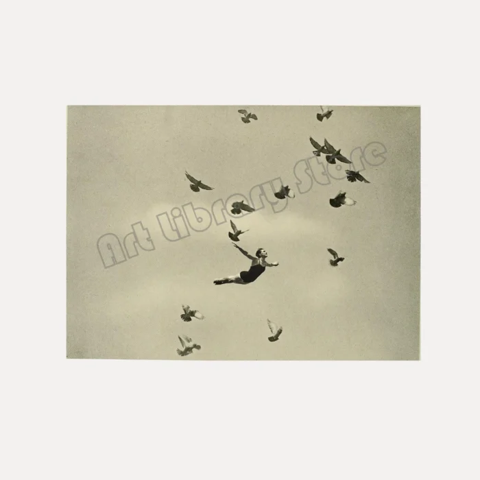 S348dc873ea0c415eb0bb5e9d72d3981fh-1.webp