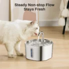 S401b942ca69740888e5c84833f4cc7bc3.webp
