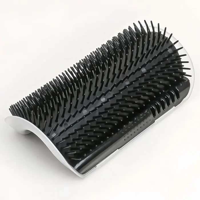 S40c2edc1e52f4a92935818a249fe04d4o.webp