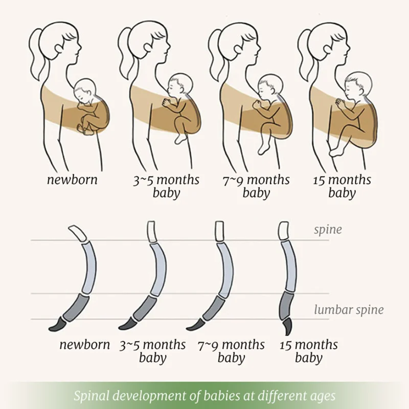 Pangdube Ergonomische Babytrage, Weiche Baumwolle, Känguru-Trage Für Neugeborene Bis 36 Monate, Bequeme Babytrage Vorne Pangdube Ergonomische Babytrage, Weiche Baumwolle, Känguru-Trage Für Neugeborene Bis 36 Monate, Bequeme Babytrage Vorne – Bild 2