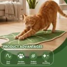 S5282d2b7428f47f9b82f1240f41727b2d.webp