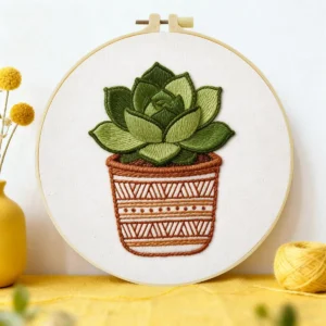 1pc 20X20CM/15X15CM 7.87/6.3inch succulent Embroidery Starter Kit DIY kit DIY embroidery kit manualidades Craft Painting
