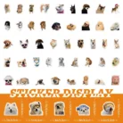 S605a3e23946c484db561df30ec2370dau.webp