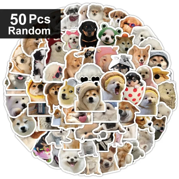 S6904a7a45f4e463eadeef484e58c8a0b5.webp
