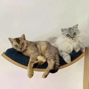 Massivholz Katze Klettergerüst Wandbehang Katzen Nest Katzenbaum Sprungplattform Nicht leicht verformt Haustier Möbel Produkte