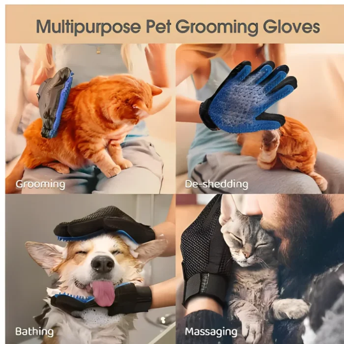 S7939147a361d4fa78d19b9df425bc1935-1.webp S7939147a361d4fa78d19b9df425bc1935-1.webp