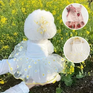 Summer Thin Puppy Princess Skirt Dog Clothes Cute Pet Dog Dress for Small Dogs Chihuahua York Clothing Pet Supplies
