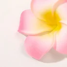 S834a649c0ca14315abadbbb8fe5df28cH.webp