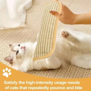 Cat Scratcher Mat Pillow Multi-Functional Cat Chew Toy Wear-Resistant Cat Scratching Toy for Kittens Adult Cats