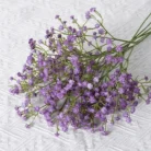 S8c9c920bed7e4e0cad7cef0acd18bdcdy.webp