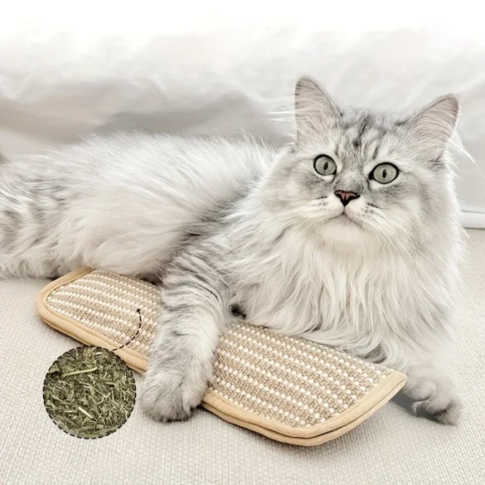 S96abba54ecb740c097fd96044b84e636y.webp S96abba54ecb740c097fd96044b84e636y.webp