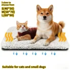 S9a724ca6a11343b29b432a1c45ef5f4dF.webp
