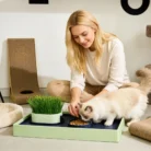 S9a8b6b5a20d949488a0a0b365bc3e37aI.webp