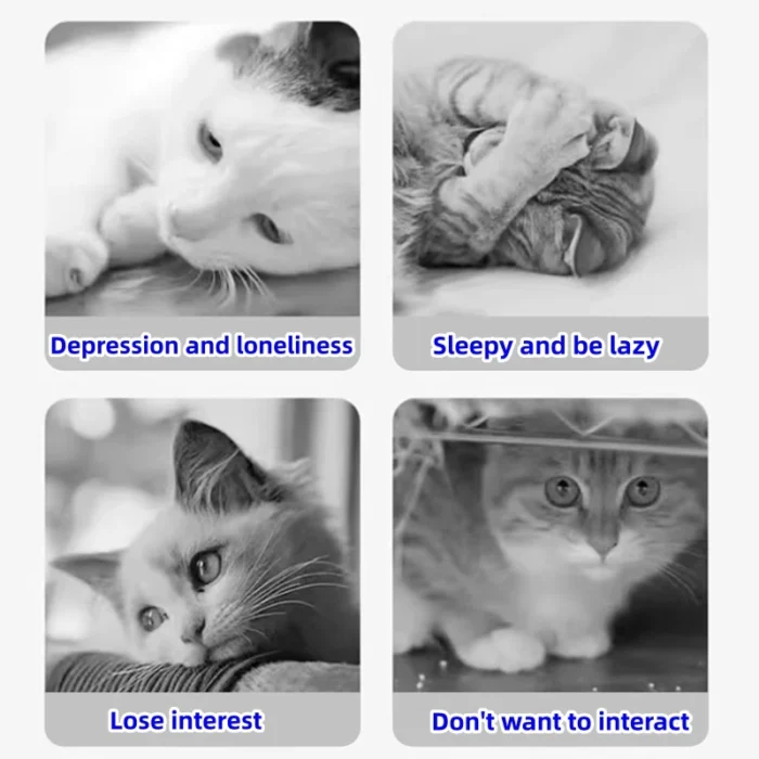 S9ad15723f7744218bf4ac1bb3c507fb1h.webp
