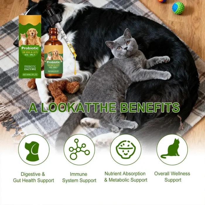 Sa0ec4e63611647ec9e27b5cbf0d98ec2Q.webp Sa0ec4e63611647ec9e27b5cbf0d98ec2Q.webp