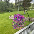 Sb2dbed7d8576472e96404e9947c1786cJ.webp