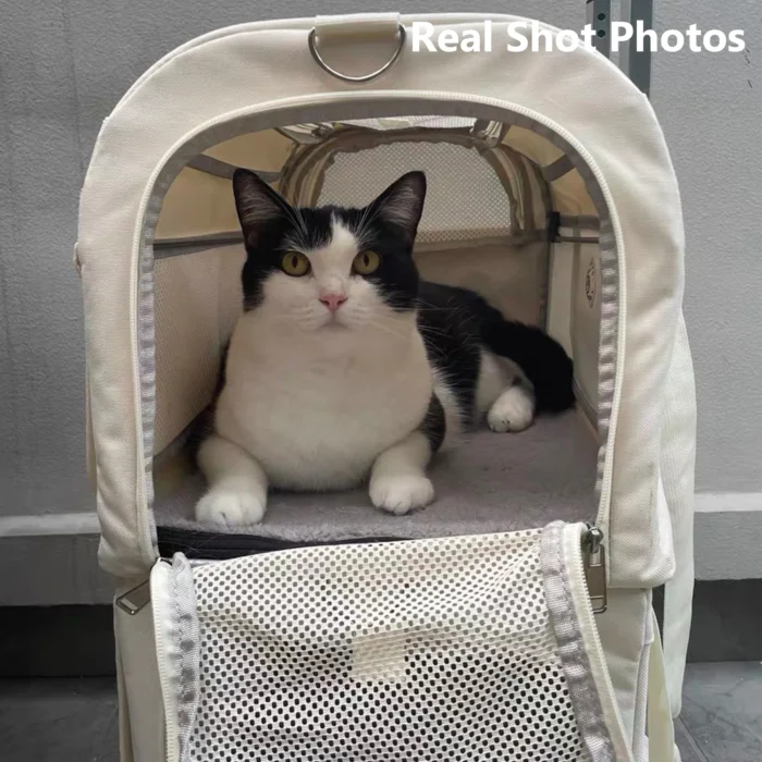 Sbd202c0377d9449287b63843058a48167-3.webp
