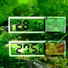 Sc98c72b4c80a42978535cf672d1c5ee92.webp
