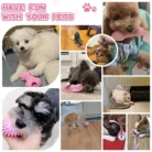 Scf0836be2e684ee9b3c63fb957959e6ds.webp