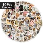 Sd2137b466de24f8c8a919d97a417758dg.webp