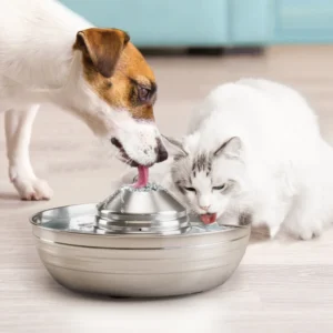 2LCat Water Fountain Automatic Drinker For Cats Water Feeder Pet Cat Dog Ultra-Quiet Automatic Fountains and Filter Cats Drinker
