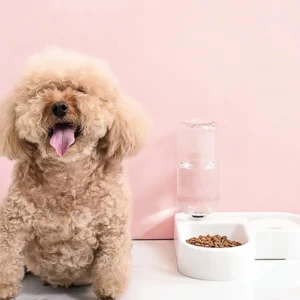 Doppel-Futter- und Wassernäpfe für Hunde und Katzen – Set mit Futter- und Wassernäpfen, geeignet für Katzen und kleine Hunde