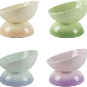 Ceramic Elevated Cat Bowls Tilted Cat Food Bowl Dish Pet Feeder Bowl Dishwasher Microwave Safe