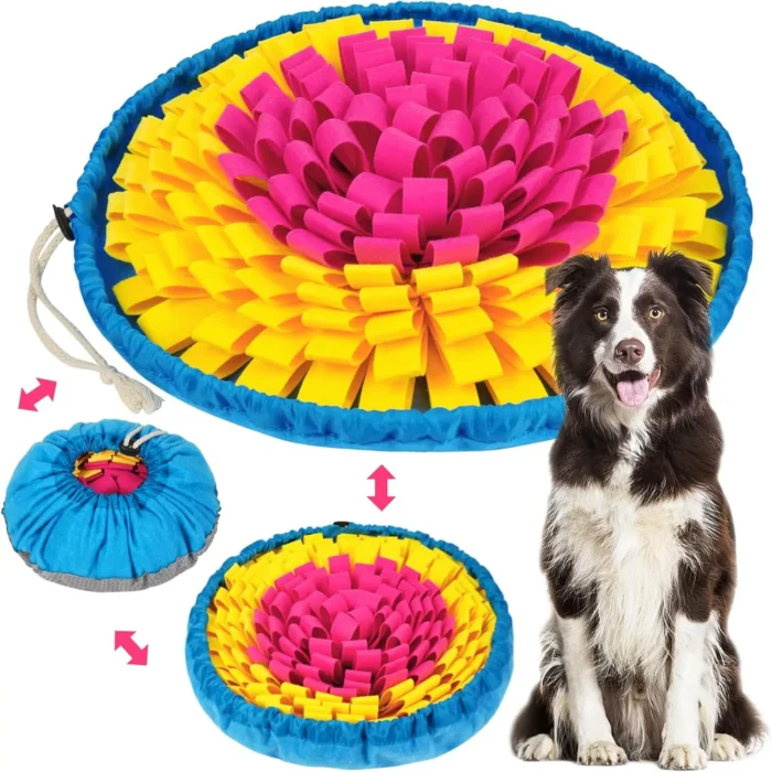 Se7730258d14346c8aa44a5b4d9f8f9bbz-1.webp