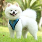 Se7e9f67500be479c9eeec8bf8f4c42e4f.webp