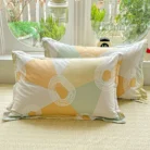 Sedba1a3d37024d48b9de830716eb6a59D.webp