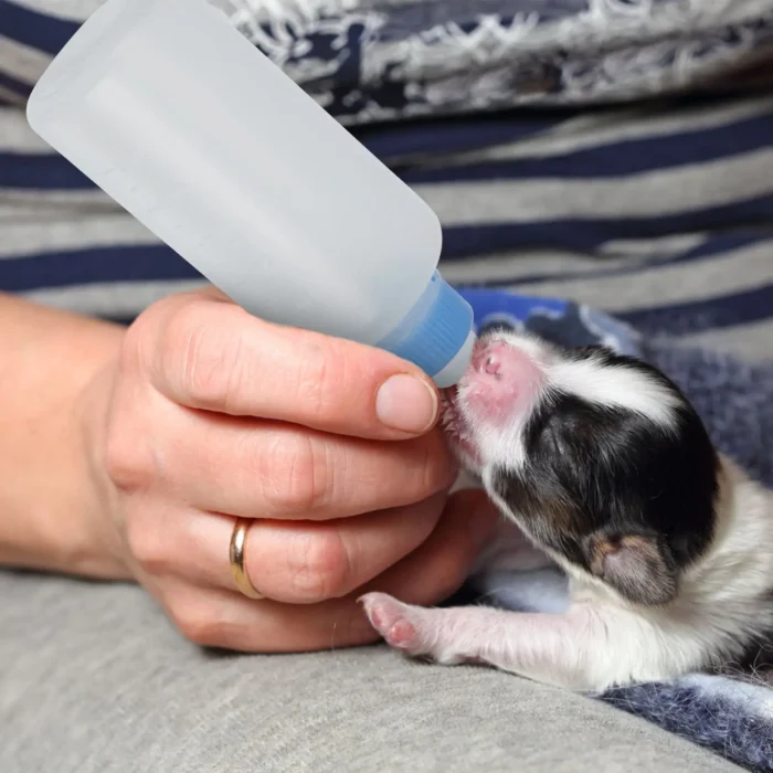 See7bc1b64d79478eb9e353dfaf4f597bF.webp