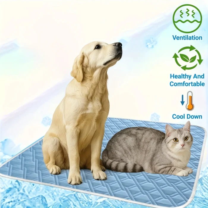 Sf52cd1dd5f864c6c82ab7a10ad30b2bbF.webp
